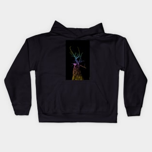 Rainbow Tree Kids Hoodie